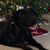 Gary Leo Eddmenson Jr.'s profile image