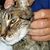 Maureen Fauss McClain's profile image