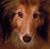 Elizabeth Wilhelm's profile image