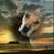 Angela Nixon Hall's profile image