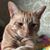 Jeff Dacat's profile image