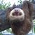 Clara Dimaggio's profile image