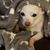 Jo Morris's profile image