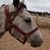 Linda Miguel's profile image