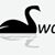 Swan Hua's profile image