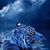 Holly Stephens Dezsi's profile image