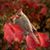 Lynn Fowler's profile image