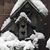 Vicki Bayliff's profile image