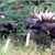 Donna Asprion's profile image