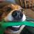 Jaclyne Humphrey's profile image