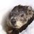 Luc Giguere's profile image