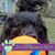 Sue Irwin's profile image