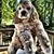 Kimberly Weber's profile image