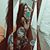 Yla Cavalcante's profile image