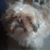 Bj Bennett's profile image