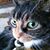 Lois Shannon's profile image