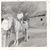 Janette Hess's profile image