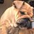 Vickie Sharp's profile image