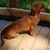 Donna Cooper Abercrombie's profile image