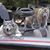 Shelley Towry Boyd's profile image