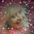 Marie Church's profile image