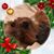 Judy Hehl's profile image