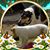 Robin Saporito's profile image