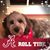 Susan Graham Peterson's profile image