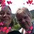 Maria Salm Fitzsimons's profile image