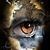 Sapphire Scott's profile image