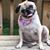 Donna Stidham's profile image