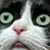 Jeffrey Maxson's profile image