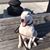 Stephanie Sirenski's profile image
