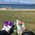 Laura Bachrach's profile image