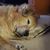 John Parkhurst's profile image