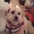 Kelly Michelle Dattner's profile image