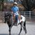 Linda Chambers's profile image