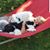 Kaylene Medler Davis's profile image