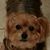 Phyllis Montana-Leblanc's profile image