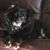 Kimberly Patteson's profile image