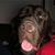 Lish Lishy's profile image