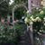 Diane Perman's profile image