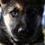 Eric Sparky Stites's profile image