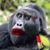 Carla Avery's profile image