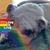 Tammy Garcia's profile image