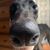 Wendy Lawrence Gulledge's profile image