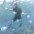 Fermin Arias Rivera's profile image