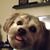 John Zimmerman IV's profile image