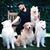 William Galharde's profile image