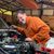 Shelby Cook's profile image